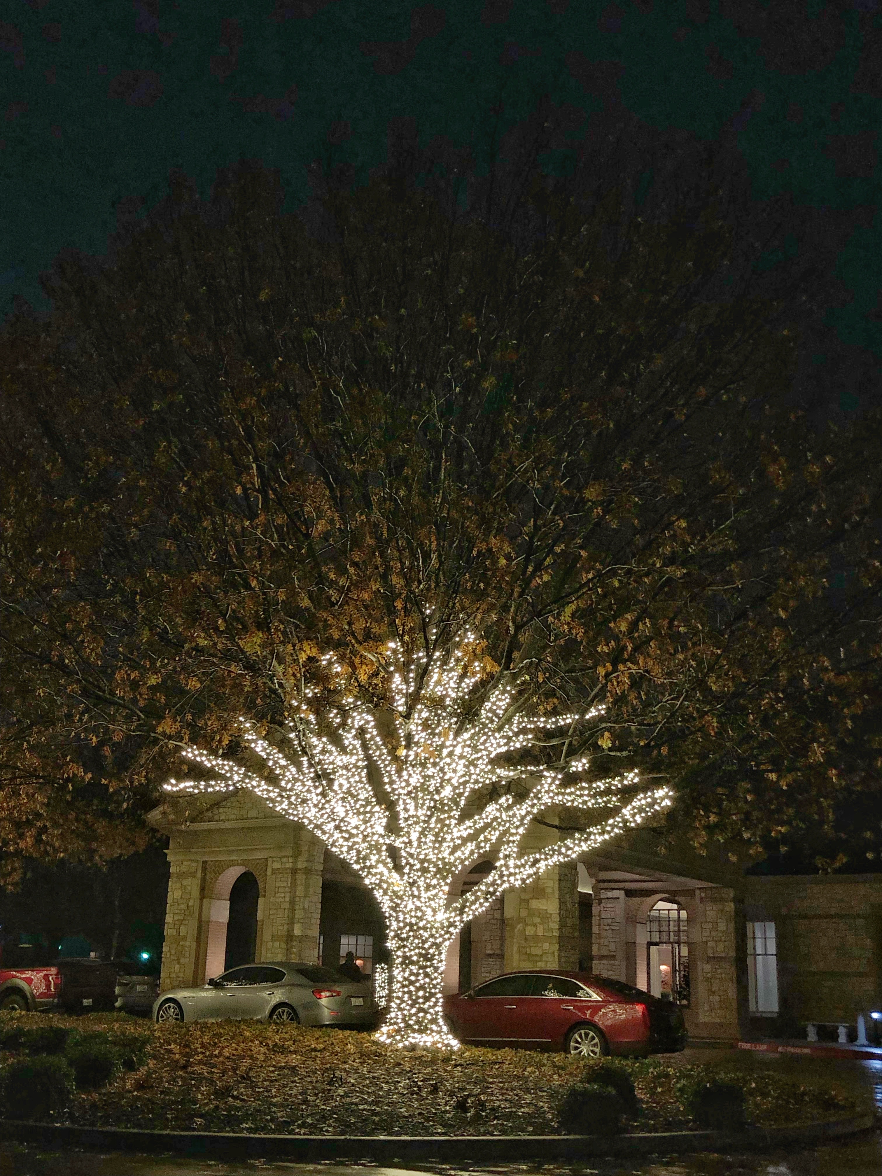 Commercial Outdoor Christmas Decorations Featuring Tree Lighting Spread The Holiday Cheer In Local Neighborhood.