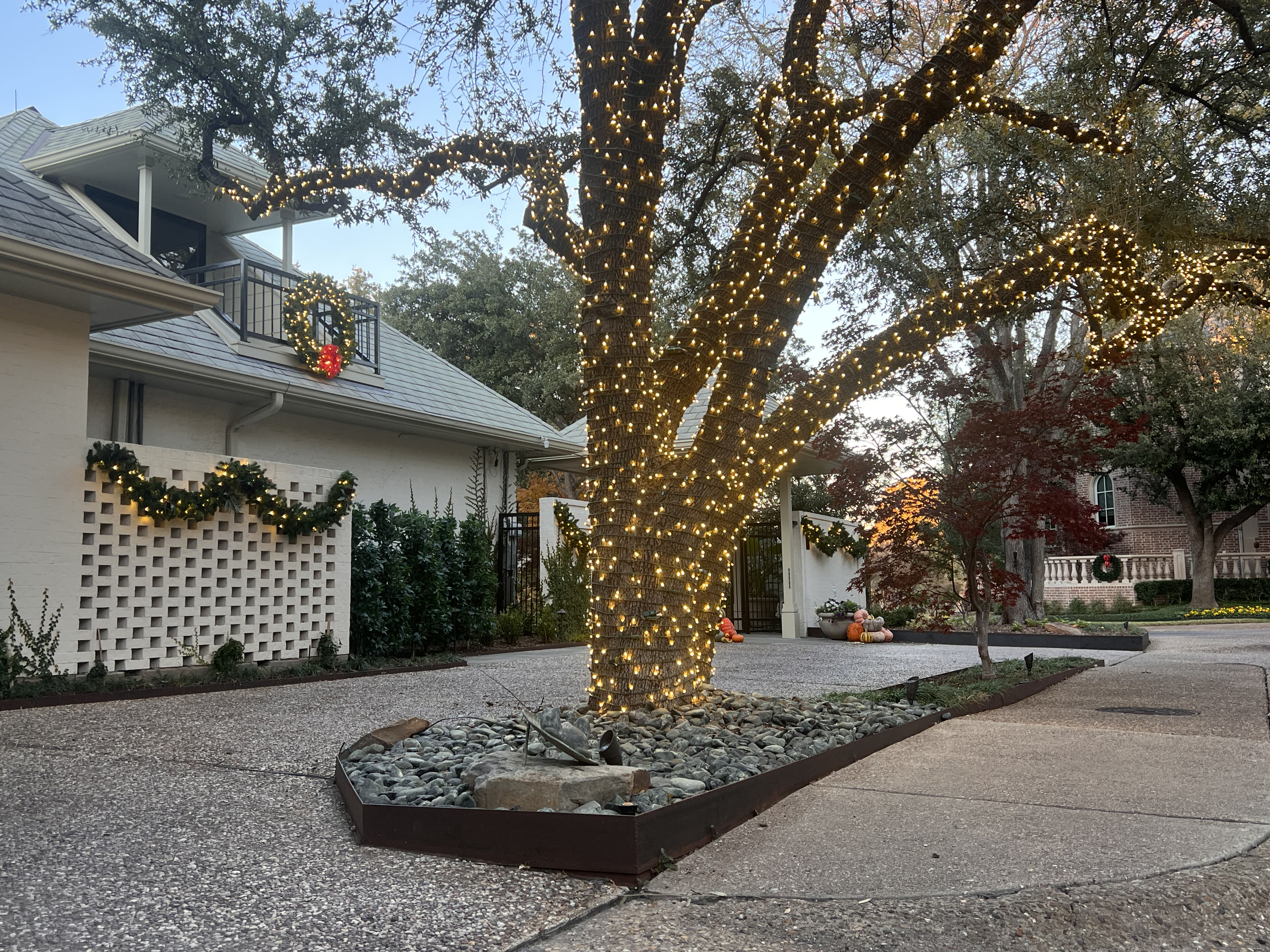 Beautifully Decorated Trees With Christmas Lights Installed Near Highland Park By Local Holiday Lighting Company