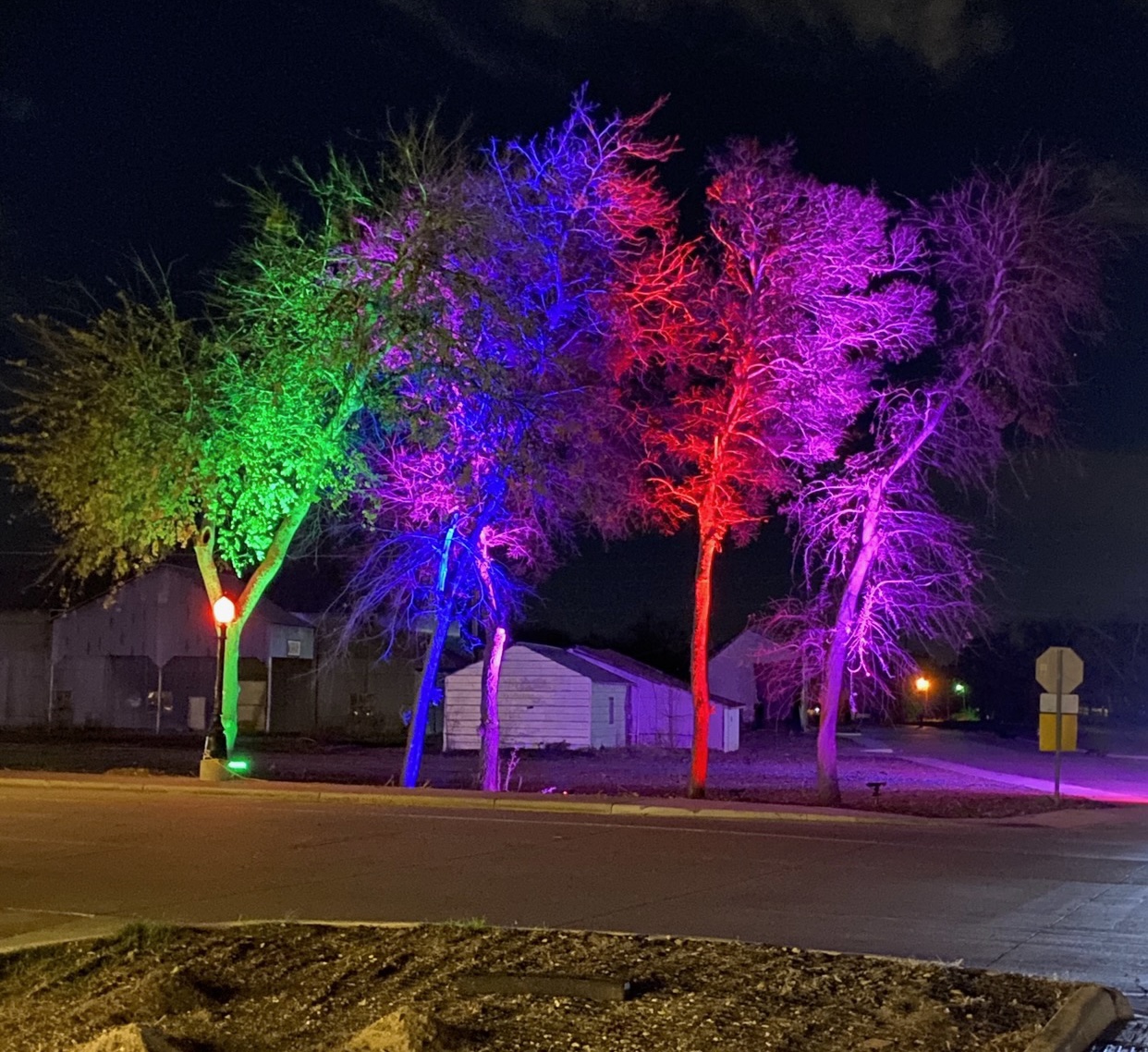 RGB Christmas Lighting For Commercial Outdoor Christmas Decorations Featuring RGB Spotlights