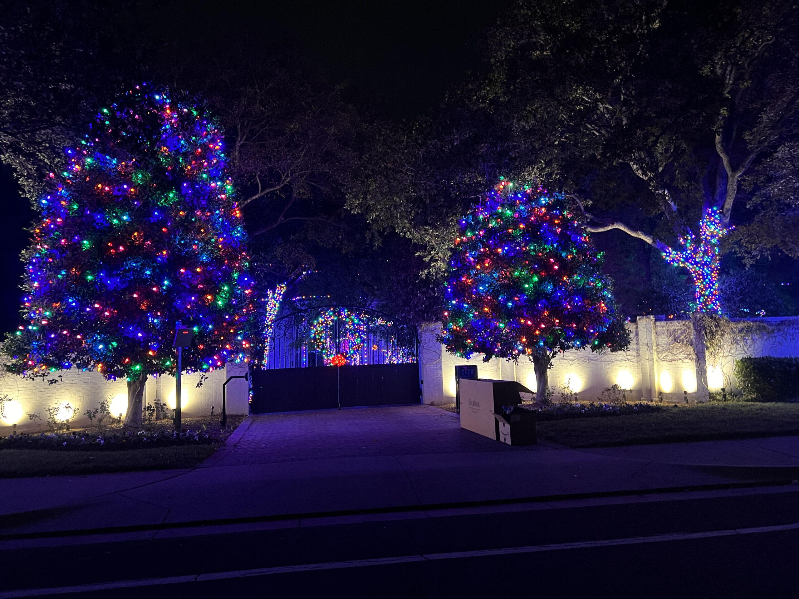 Tree Lighting Service Beautifully Decorated Oak Tree With Christmas Light Package