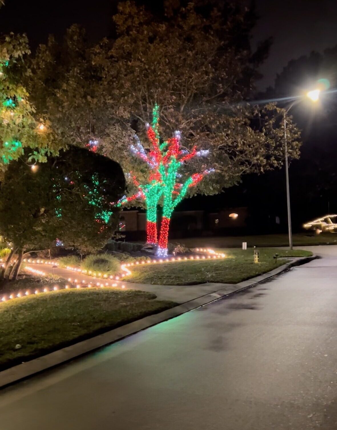 Trees Beautifully Decorated With Programmable RGB Christmas Light Strands Installed By Our Professional Tree Lighting Service