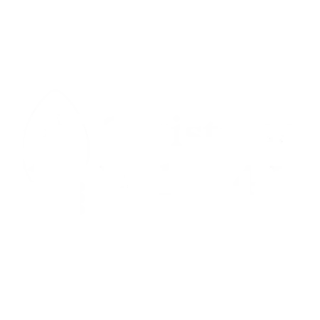 Christmas Lights 4 U, LLC