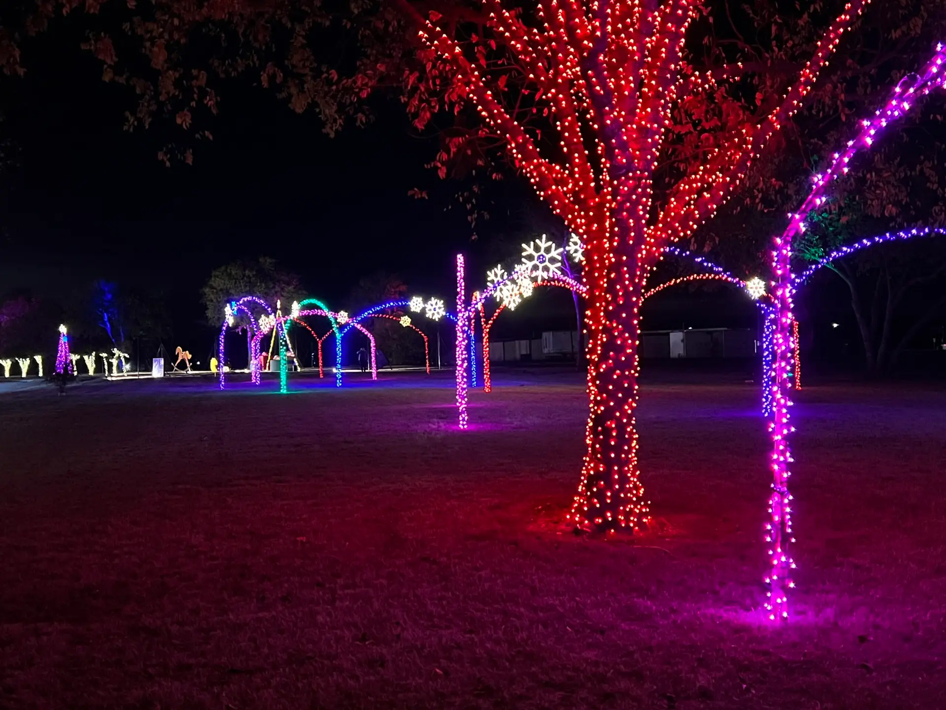 Large scale holiday light display along a municipal park corridor in Dallas-Fort Worth featuring multiple decorative elements — Christmas Lights 4 U