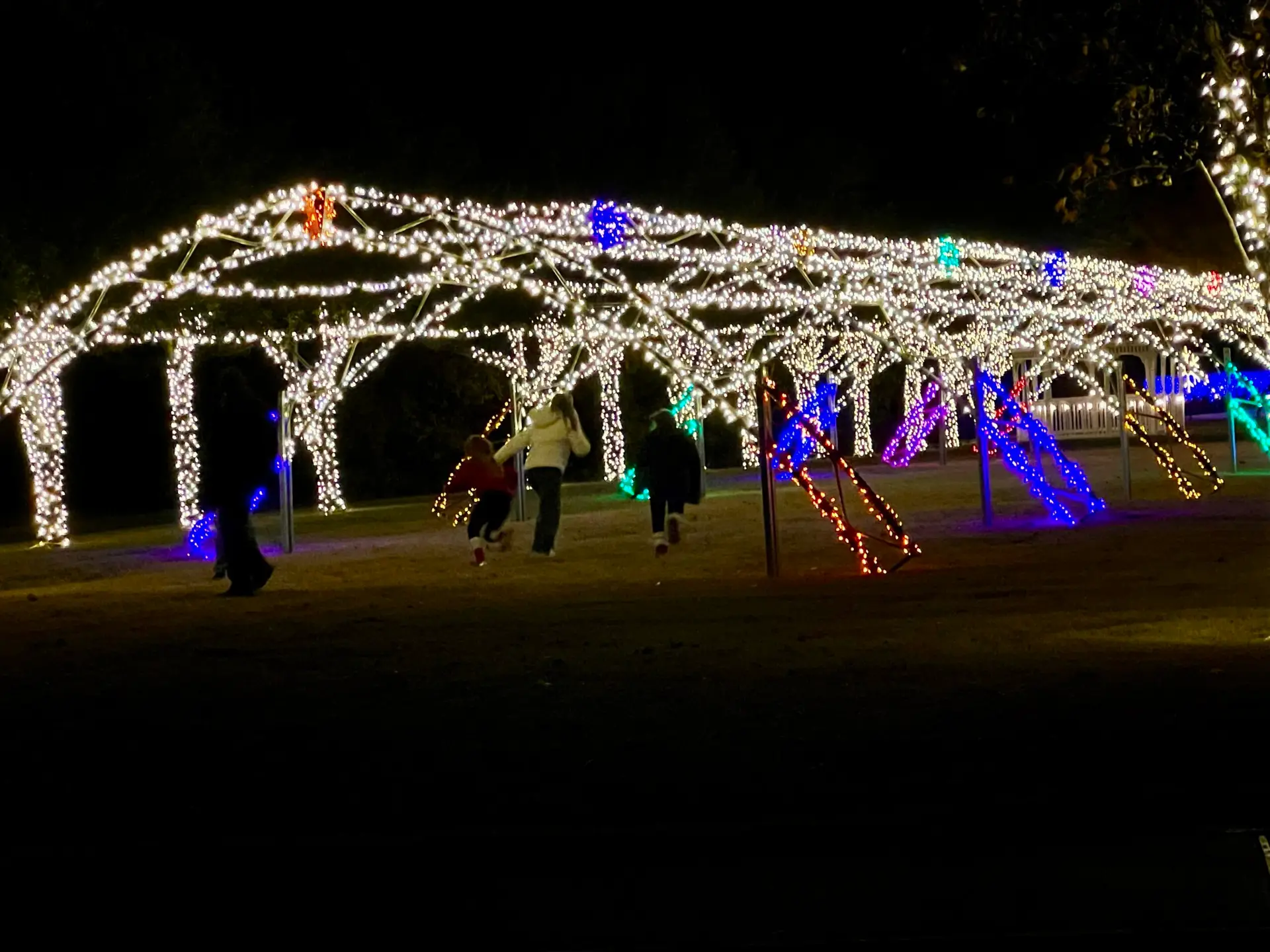 Families enjoying a large scale holiday light display at a municipal park installation in Dallas-Fort Worth — Christmas Lights 4 U