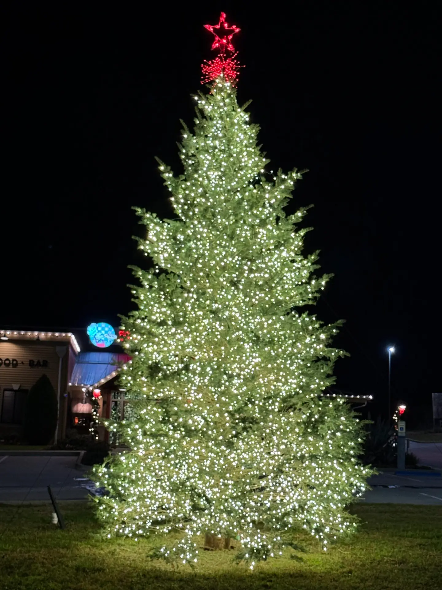 Commercial Christmas tree installation in Dallas decorates the front of a local restaurant.
