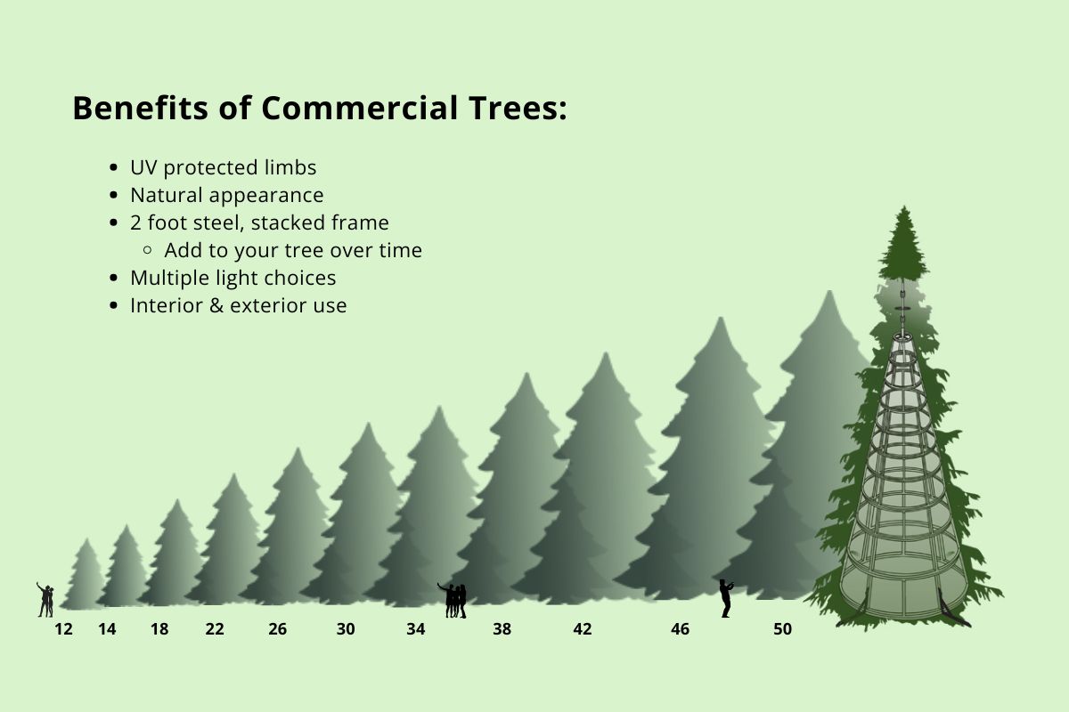Commercial Christmas tree size comparison infographic showing standard 12-26 foot trees, large-scale 28-50 foot trees, and custom specialty trees for DFW commercial properties.