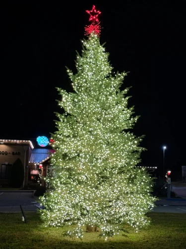Commercial Christmas tree installation in Dallas decorates the front of a local restaurant.